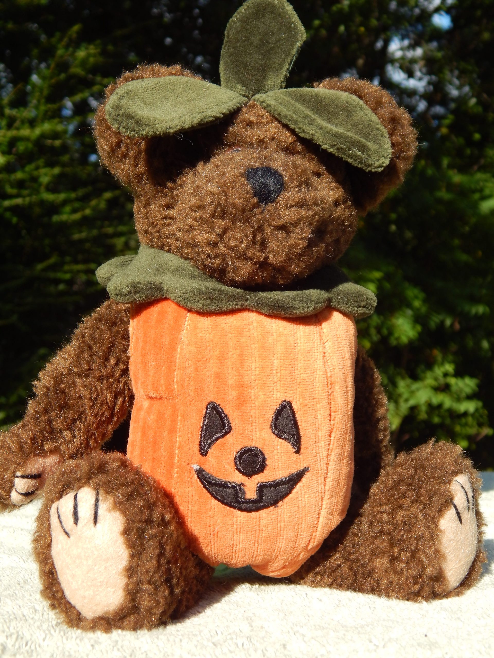 Vintage The Boyds Collection Halloween Pumpkin Jack-O-Lantern Plush Bear - Image 9