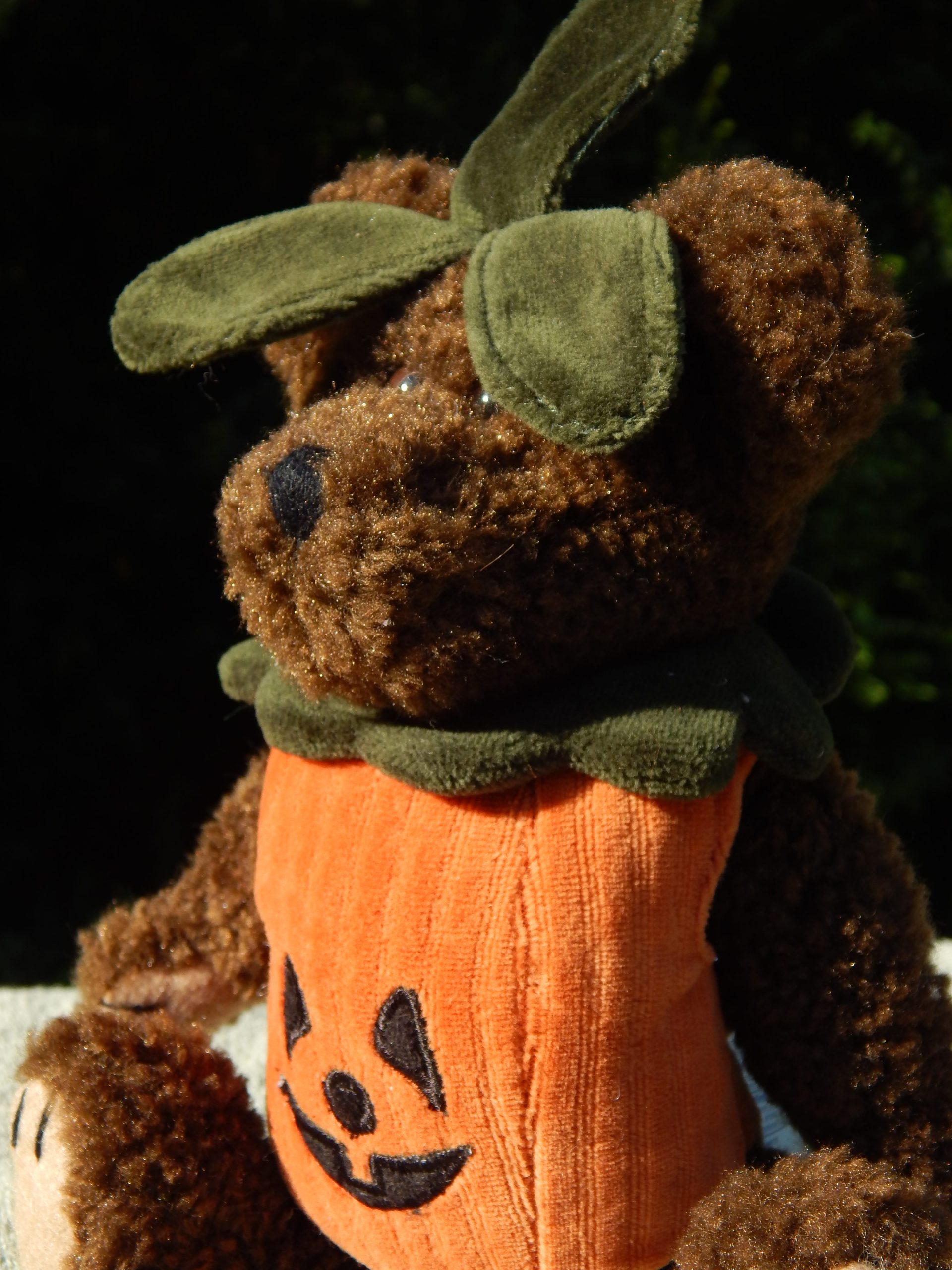 Vintage The Boyds Collection Halloween Pumpkin Jack-O-Lantern Plush Bear - Image 11