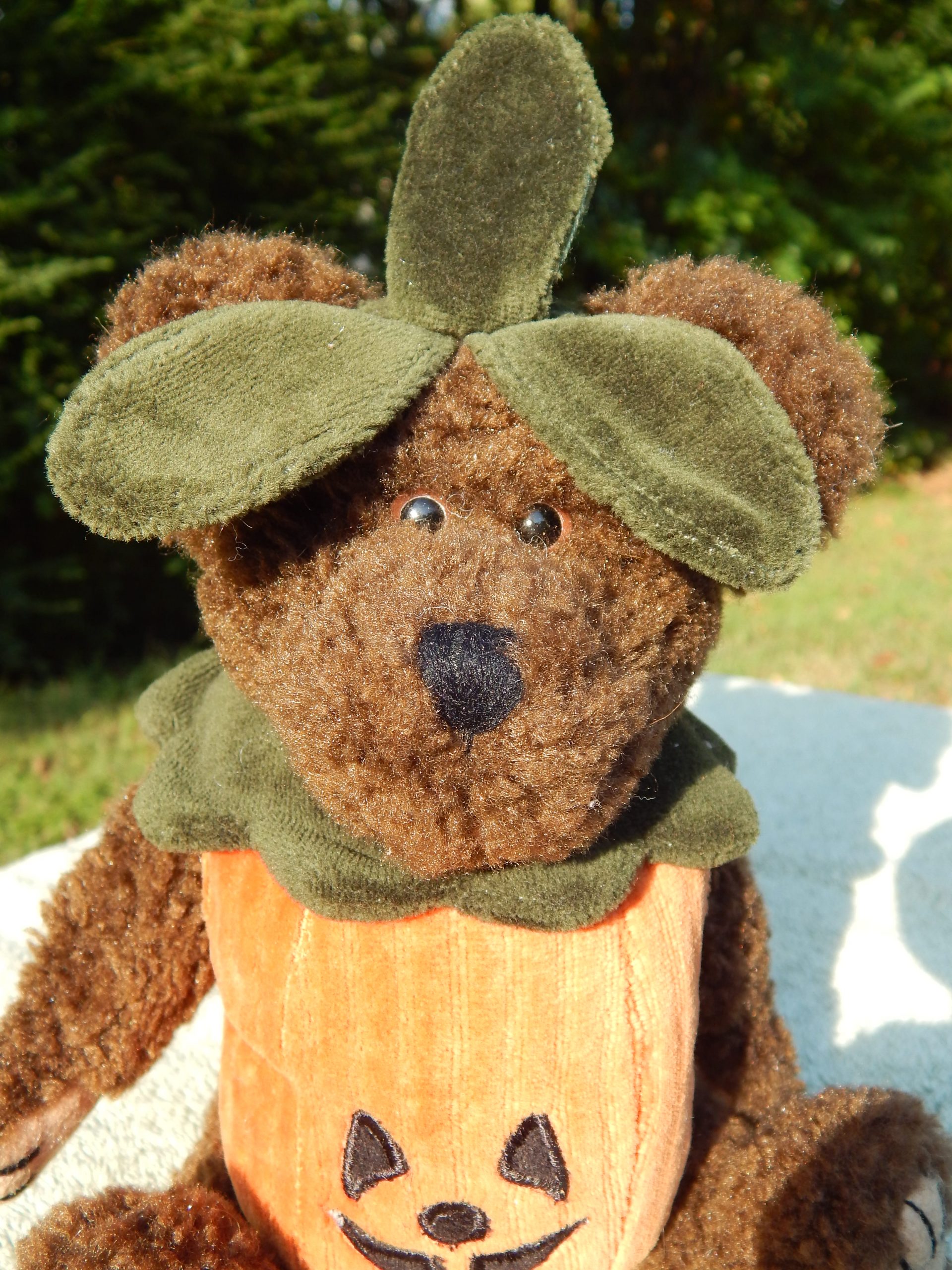 Vintage The Boyds Collection Halloween Pumpkin Jack-O-Lantern Plush Bear - Image 4