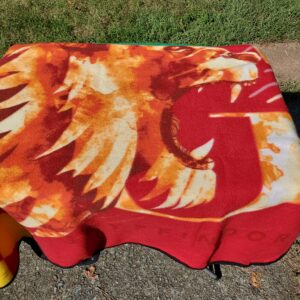 Harry Potter Wizarding World Gryffindor Picnic Travel Blanket Throw