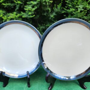 Pair of Gorham Blue and Silver Rimmed Salad Plates