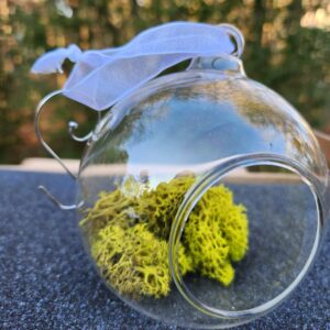 Set Vintage Frontgate Hanging Glass Globe Terrarium Ornaments - 11 pcs