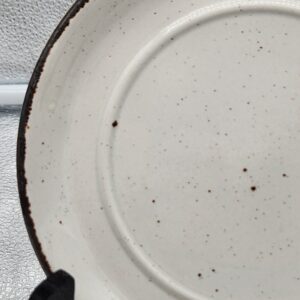 English Wedgewood Stonehenge Midwinter Stoneware Dinner Plate