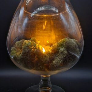 Brandy Snifter Terrarium Footed Glass Vase VERY LARGE - Or Get Really Really Really Blitzed