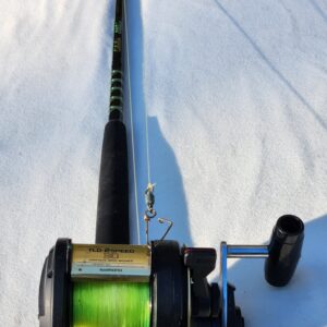 Cabela's Salt Striker Roller Guide Offshore Casting Rod & Shimano TLD 30 2-Speed Reel Combo