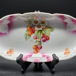 Bavarian Germany Porcelain Hand Painted Celery Dish c. Late 1800s to Early 1900s