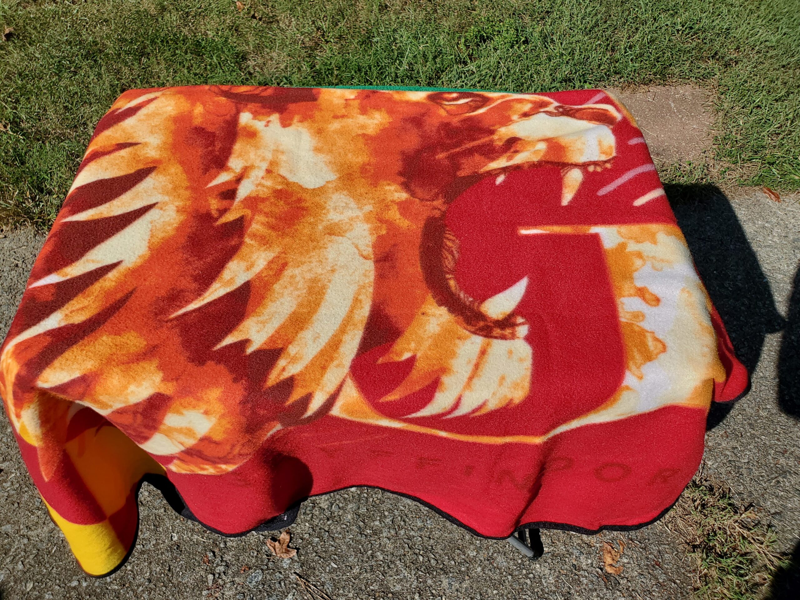 Harry Potter Gryffindor Throw - 2013 Loot Crate Exclusive Wizarding World Picnic Blanet - Image 4
