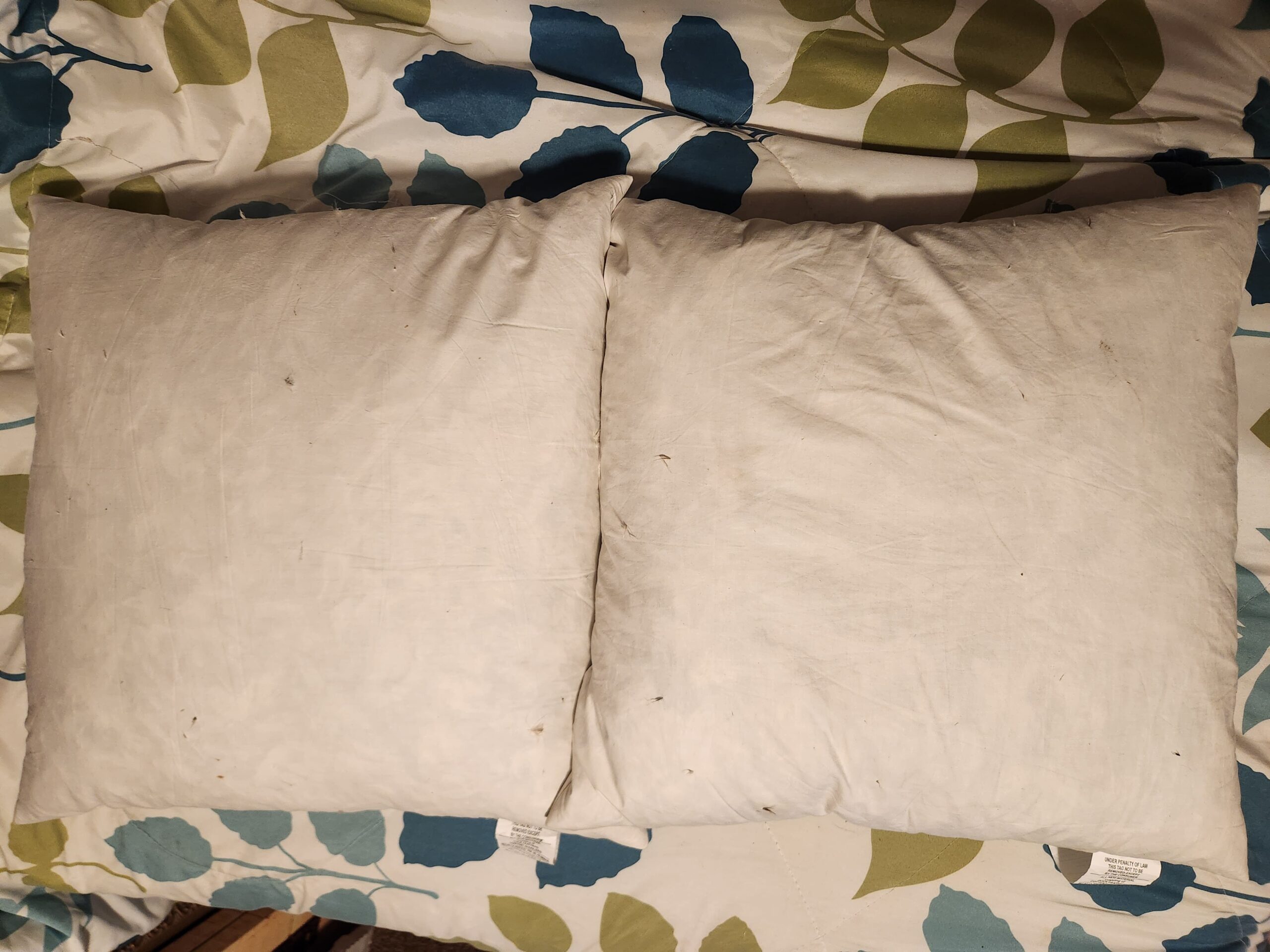 20" x 20" Feather Down Throw Pillow Inserts – Clean