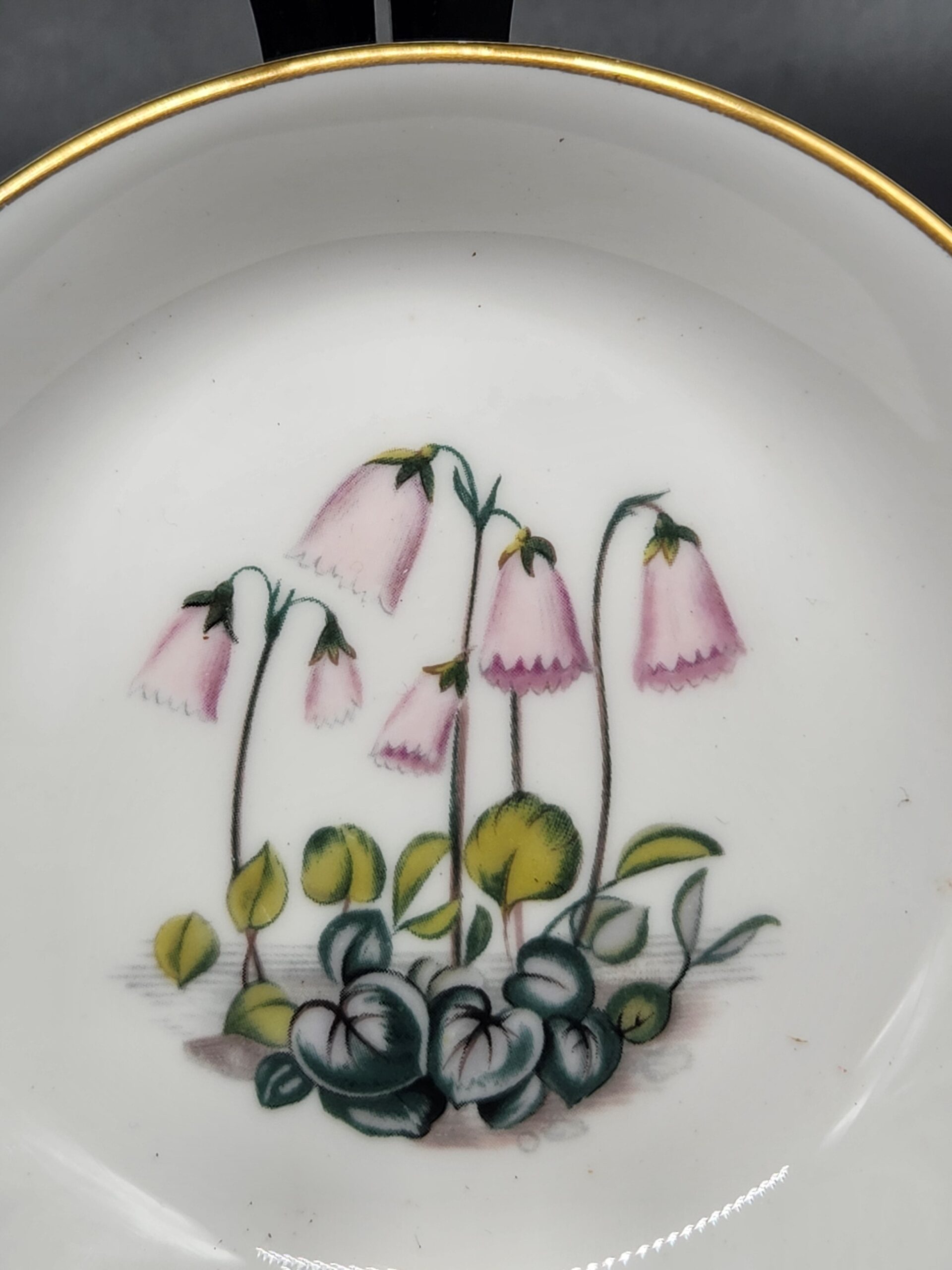 Royal Worcester English Fine Bone China Alpine Flowers Trinket Dishes - Image 2
