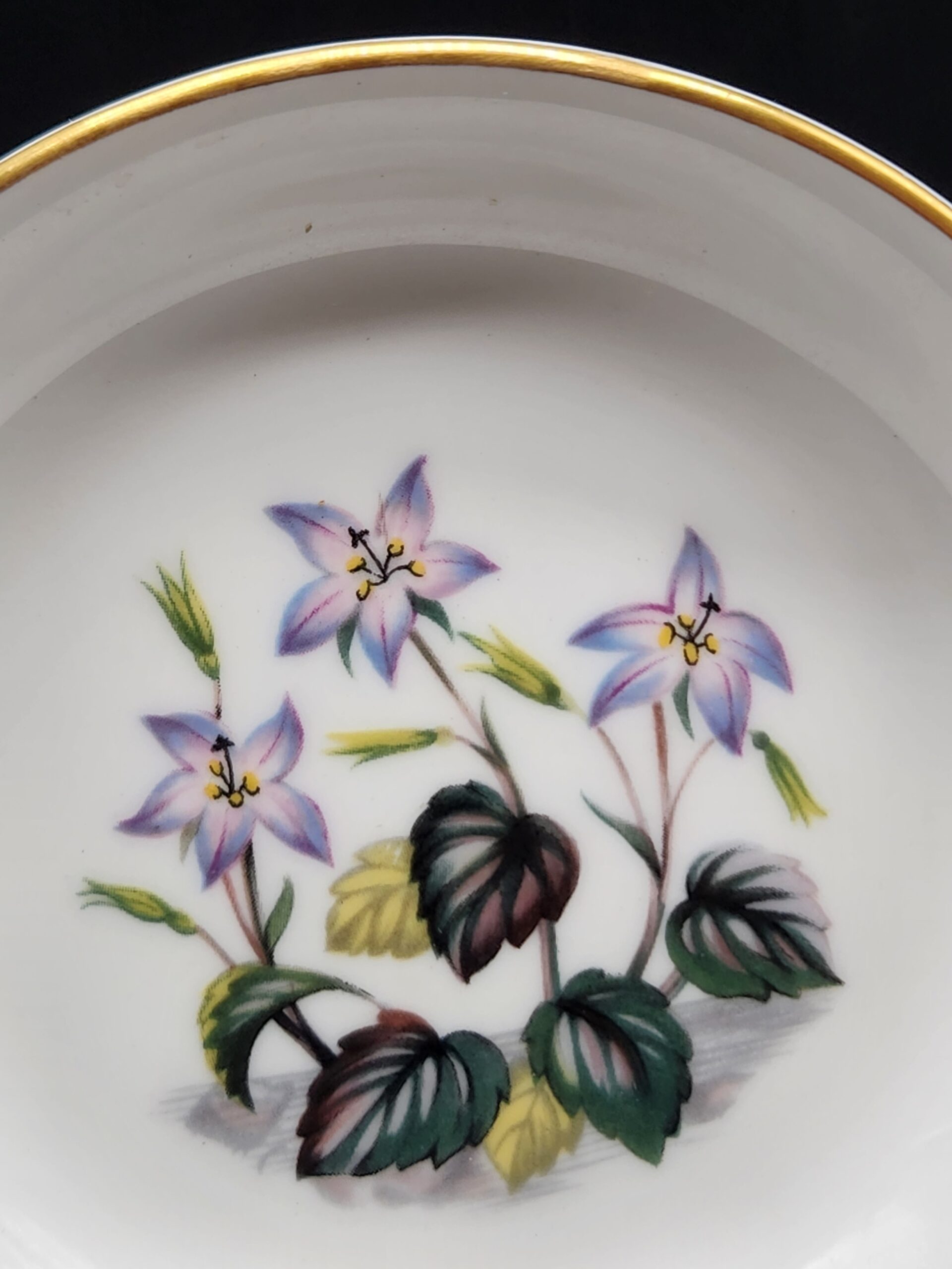Royal Worcester English Fine Bone China Alpine Flowers Trinket Dishes - Image 3